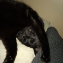 cringe-is-inevitable avatar