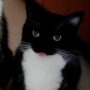 cringelord5000 avatar