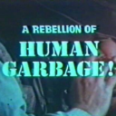 crintsiewintsey avatar