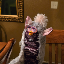 crippledsoybean avatar