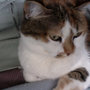 cripples-r-us avatar