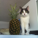 cripto136-blog avatar