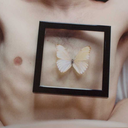 crisalideinversa avatar