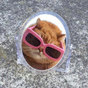 crisiscontrolroom avatar