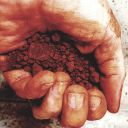 crislicio-blog avatar