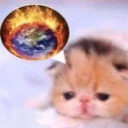 crispscreatures avatar