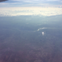 crispybearzombie avatar