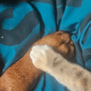 crispycryptidtime avatar