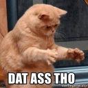 crispydancingleaf avatar