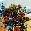 crispyfriescrisis avatar