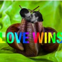 crispyturtleking avatar