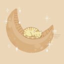 crispyvet-on-it avatar