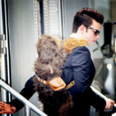 crisscolfermonster-blog avatar