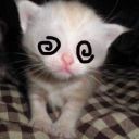 crisscrosscannibal avatar