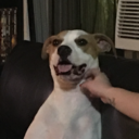 cristiandcasares avatar