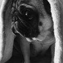 cristianpuntocom avatar