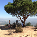 cristiantaughtu avatar