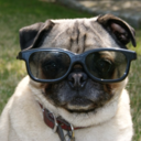 cristina-marie avatar