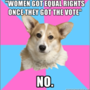 criticalfeministcorgi-blog avatar