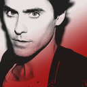 critiqualicious avatar