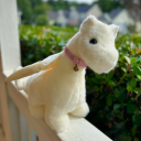 critterchimera avatar