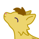 critterfiction avatar