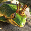 crmsncrwndknght avatar