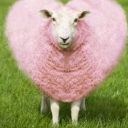 crochetmonamour avatar