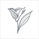crocuspaperi avatar