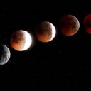 croissantmoonmagick avatar