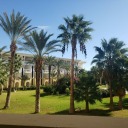 croissants-yumm avatar