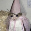 cronchybastard avatar