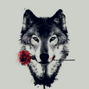 cronos549-blog avatar