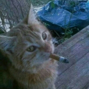 crook3d-man12 avatar