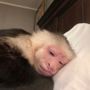 crookedcollectionblr avatar