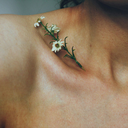 crookedlycrookeddreamer-blog avatar