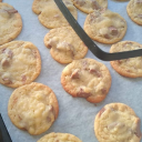 crookedpeanutbluebird avatar