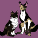 crookedteeth69 avatar