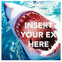 crookedwingsstilllearntofly07 avatar