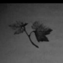 croquetacoqueta avatar