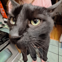 crosseyedmeadow avatar