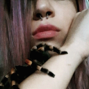 crossfire-bfhell avatar