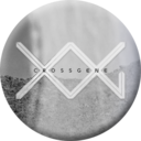 crossgene avatar