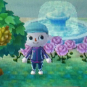 crossing-with-dan avatar