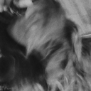 crosslightsblog avatar