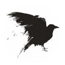 crow-in-snow avatar