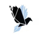 crow-name avatar
