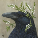 crow-sara avatar