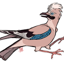 crowbirding avatar