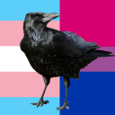 crowbraingobrrrr avatar